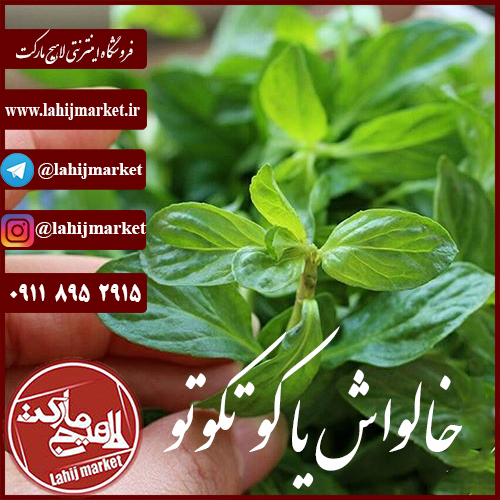 کوتکوتو یا خالواش