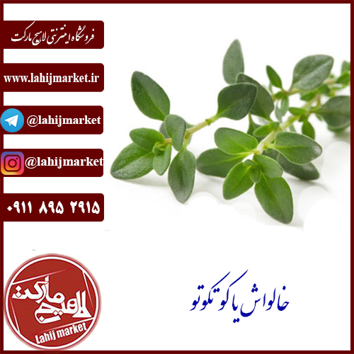 کوتکوتو یا خالواش