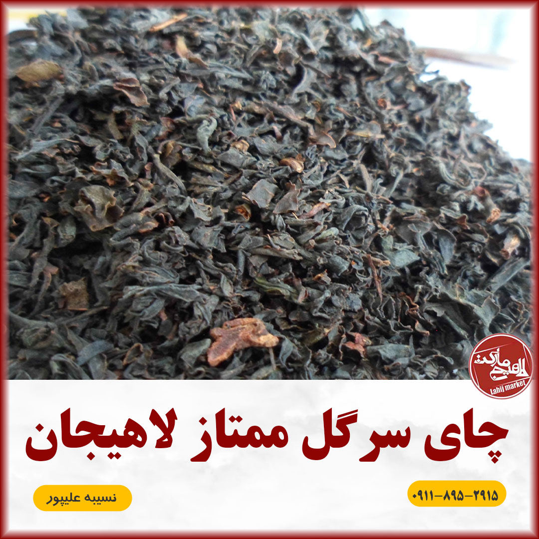 چای سرگل ممتاز بهاره لاهیجان | برداشت اردیبهشت 1405 | طبیعی، خوش‌عطر و بدون اسانس